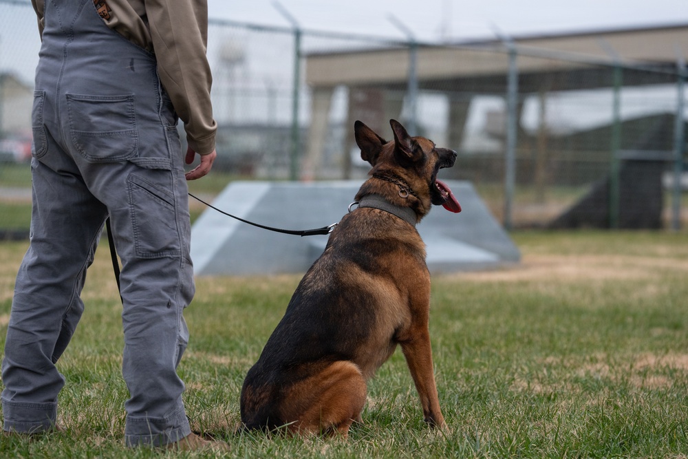 Dover AFB K-9 Unit Demo