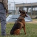 Dover AFB K-9 Unit Demo