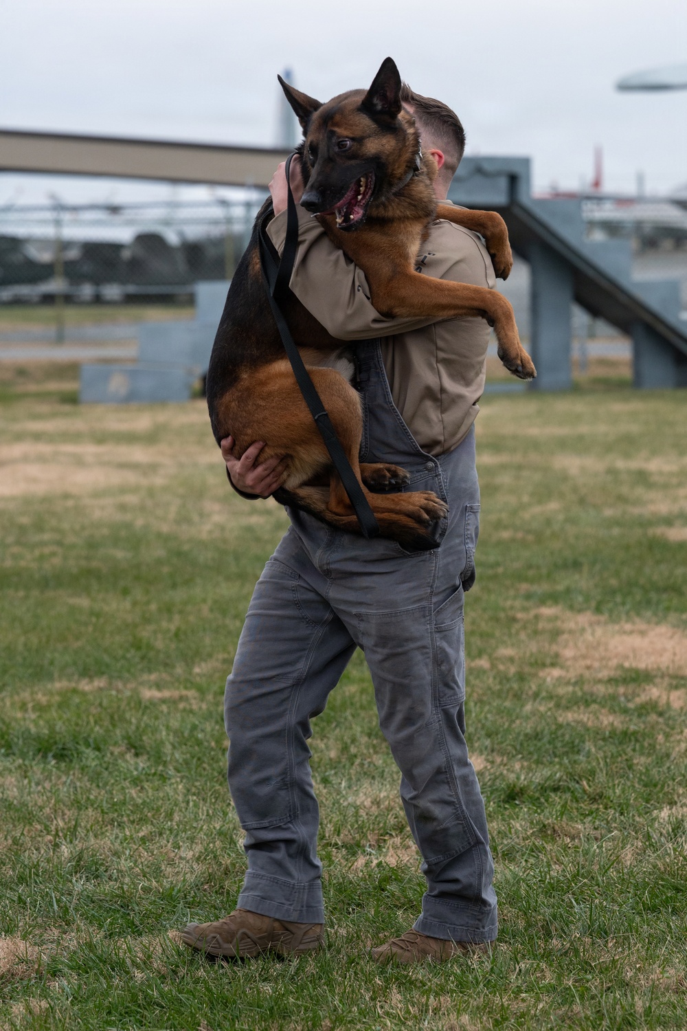 Dover AFB K-9 Unit Demo
