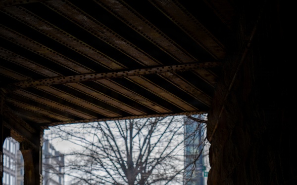 Joint Task Force–DC Joins First Responders for Dignified Transfer Honor Escort