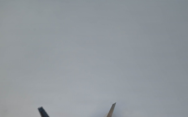 F-22 Raptor Aerial Demonstration Team performs at the Naval Air Station Oceana airshow 2025