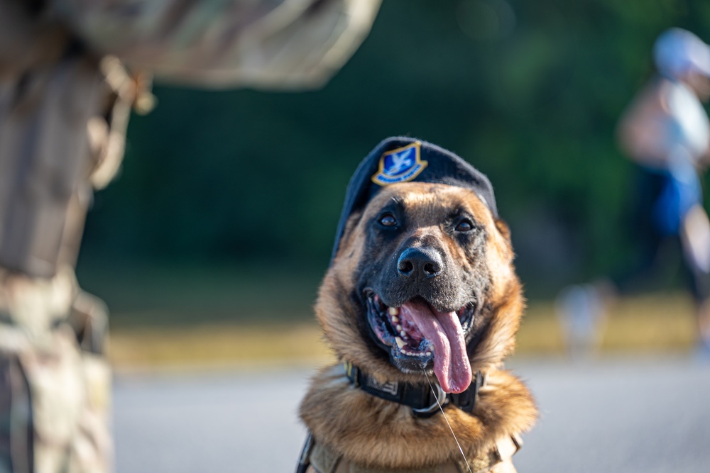 Space Force T-Minus 10-Miler