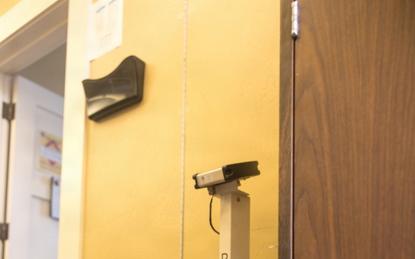 Bruno Does Semi-annual Height and Weight