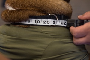 AFN Aviano Radio Spot: Power Lifting Spot