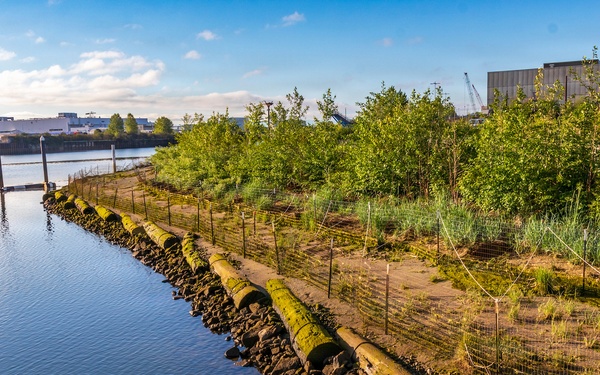Second Life: Turning Debris into Critical River and Coastal Habitats