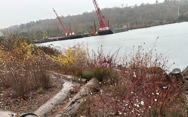 Second Life: Turning Debris into Critical River and Coastal Habitats