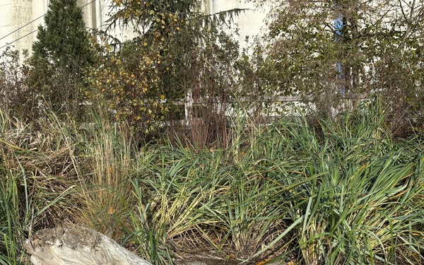 Second Life: Turning Debris into Critical River and Coastal Habitats