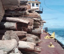 Second Life: Turning Debris into Critical River and Coastal Habitats