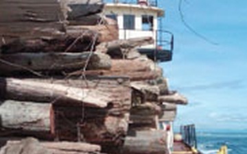 Second Life: Turning Debris into Critical River and Coastal Habitats