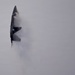 F-22 Raptor Aerial Demonstration Team performs at Air Dot Show Tour Ft. Lauderdale 2025