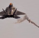 F-22 Raptor Aerial Demonstration Team performs at Air Dot Show Tour Ft. Lauderdale 2025