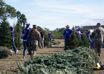 MacDill 2025 Trees for Troops