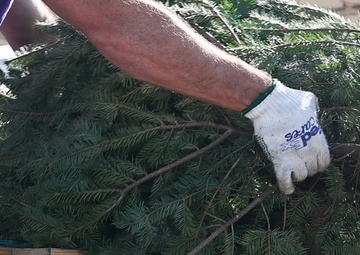 MacDill 2025 Trees for Troops