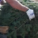 MacDill 2025 Trees for Troops