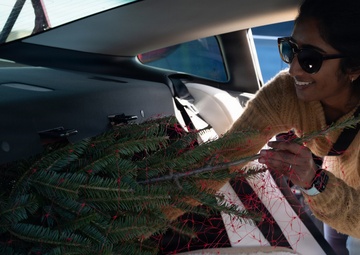 MacDill 2025 Trees for Troops