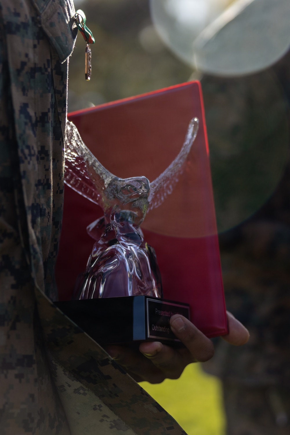 1st MLG CG Presents... Quarterly Award Ceremony