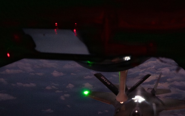 Brothers in Flight: Twin Pilots Share the Sky