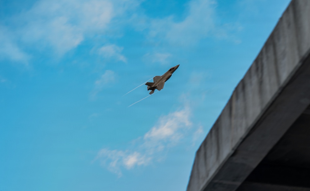 Brothers in Flight: Twin Pilots Share the Sky
