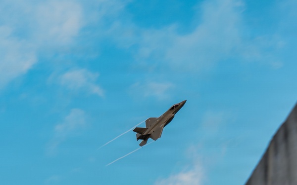 Brothers in Flight: Twin Pilots Share the Sky