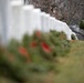 Wreaths Out at Arlington National Cemetery 2026