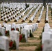 Wreaths Out at Arlington National Cemetery 2026