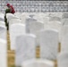 Wreaths Out at Arlington National Cemetery 2026