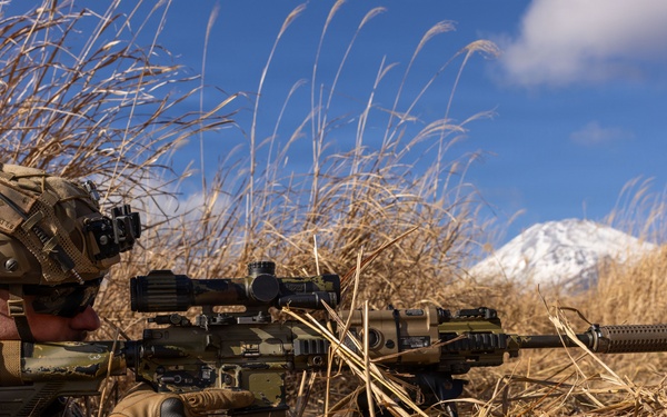 Fuji Viper 26.2 | V16 Platoon Attacks