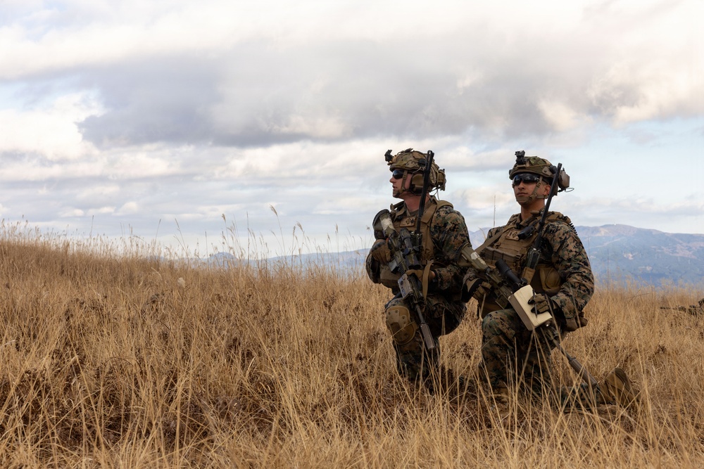 Fuji Viper 26.2 | V16 Platoon Attacks