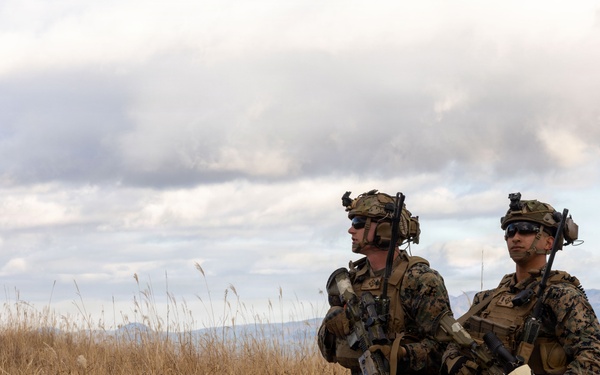 Fuji Viper 26.2 | V16 Platoon Attacks