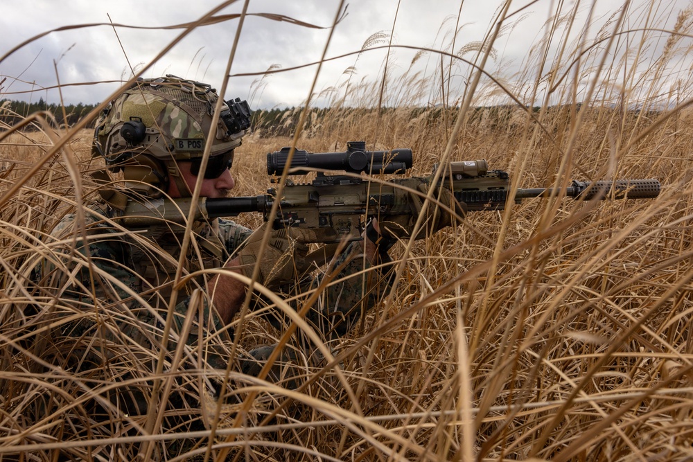 Fuji Viper 26.2 | V16 Platoon Attacks