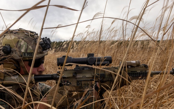 Fuji Viper 26.2 | V16 Platoon Attacks