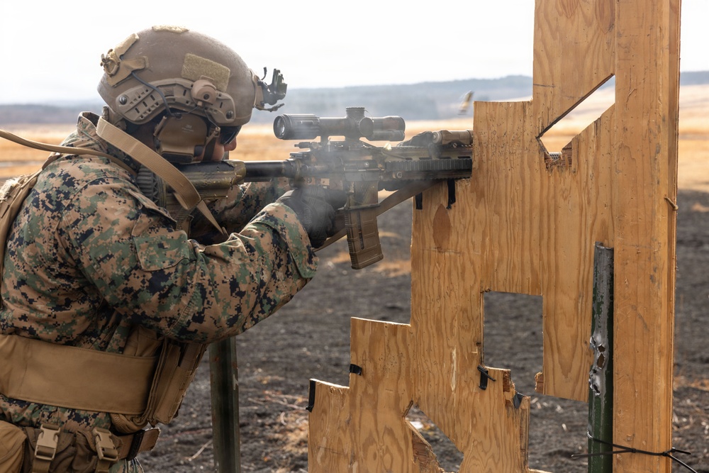 Fuji Viper 26.2 | V16 Long Bay