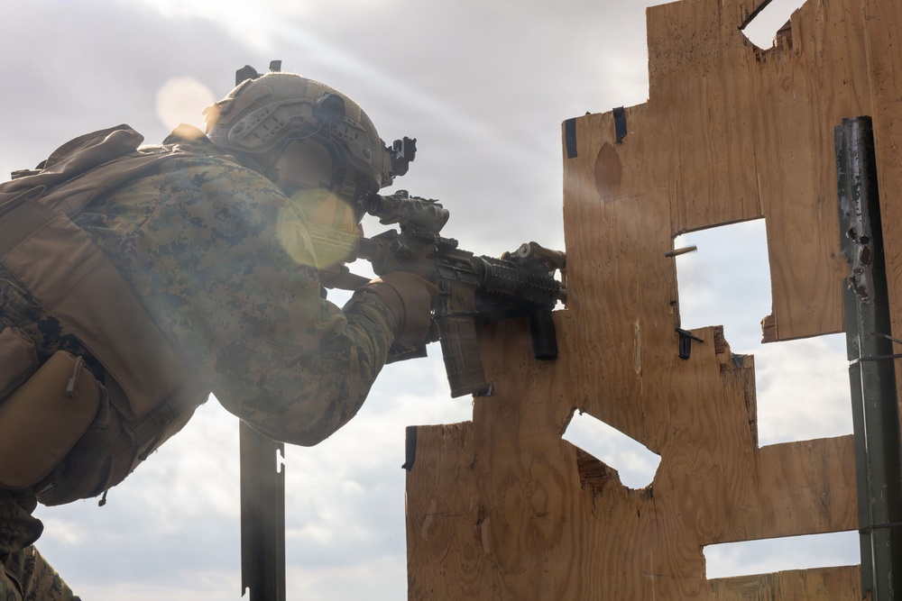 Fuji Viper 26.2 | V16 Long Bay