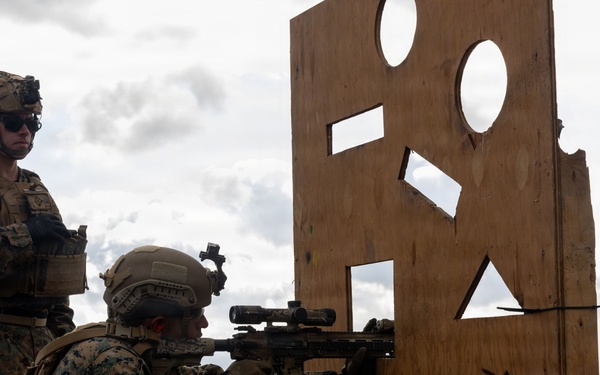 Fuji Viper 26.2 | V16 Long Bay