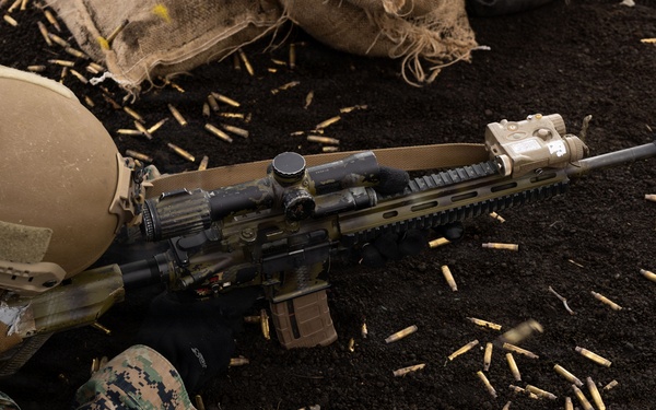 Fuji Viper 26.2 | V16 Long Bay