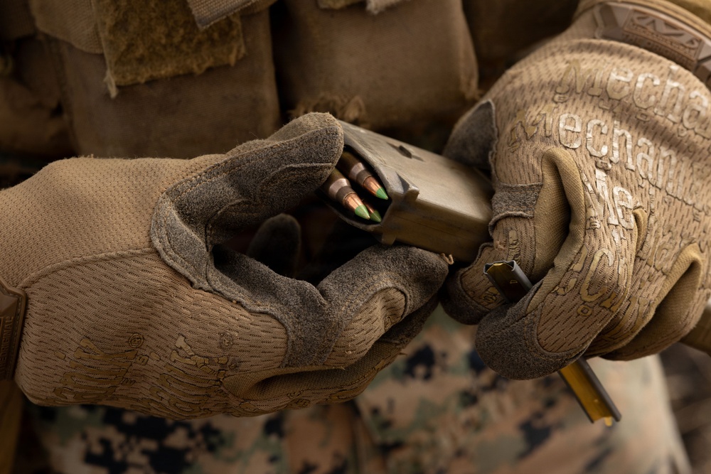 Fuji Viper 26.2 | V16 Long Bay