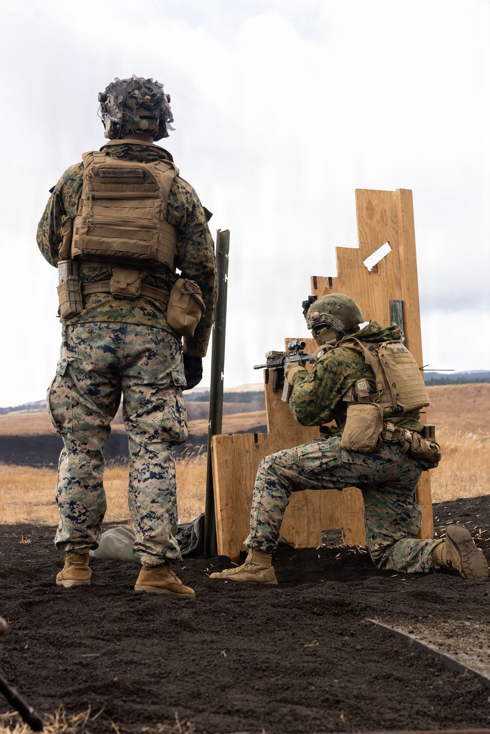 Fuji Viper 26.2 | V16 Long Bay