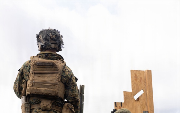 Fuji Viper 26.2 | V16 Long Bay