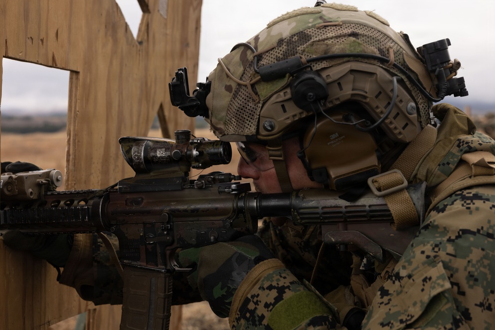 Fuji Viper 26.2 | V16 Long Bay