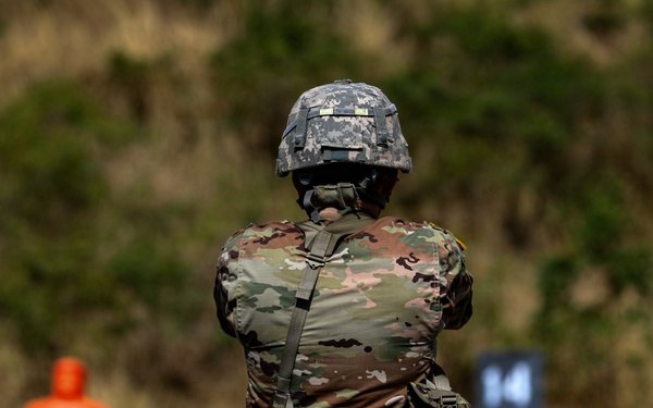 402nd CA BN Train and Live-Fire During ACW26