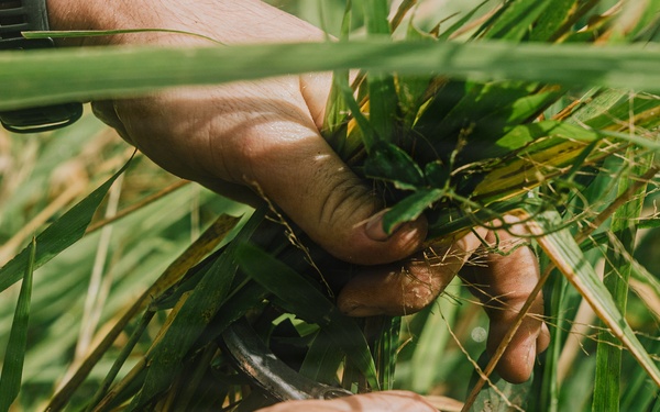 22nd MEU(SOC) | Reconnaissance Surveillance Target Acquisition Stalk Lane