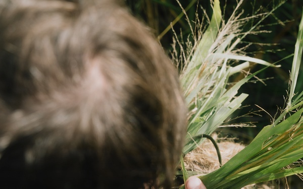 22nd MEU(SOC) | Reconnaissance Surveillance Target Acquisition Stalk Lane