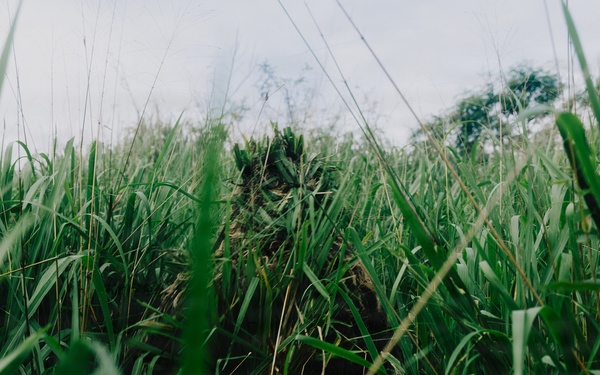 22nd MEU(SOC) | Reconnaissance Surveillance Target Acquisition Stalk Lane