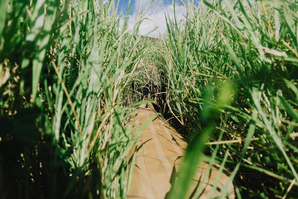 22nd MEU(SOC) | Reconnaissance Surveillance Target Acquisition Stalk Lane