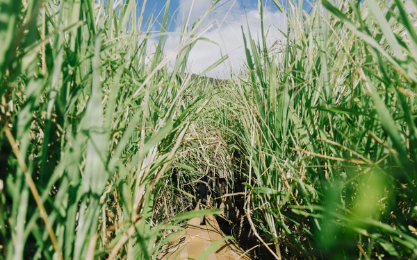22nd MEU(SOC) | Reconnaissance Surveillance Target Acquisition Stalk Lane