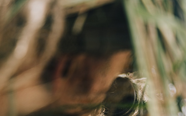 22nd MEU(SOC) | Reconnaissance Surveillance Target Acquisition Stalk Lane