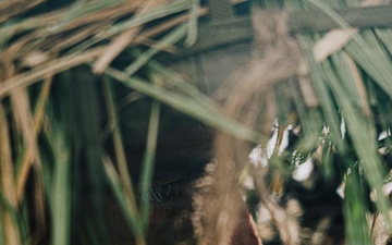 22nd MEU(SOC) | Reconnaissance Surveillance Target Acquisition Stalk Lane