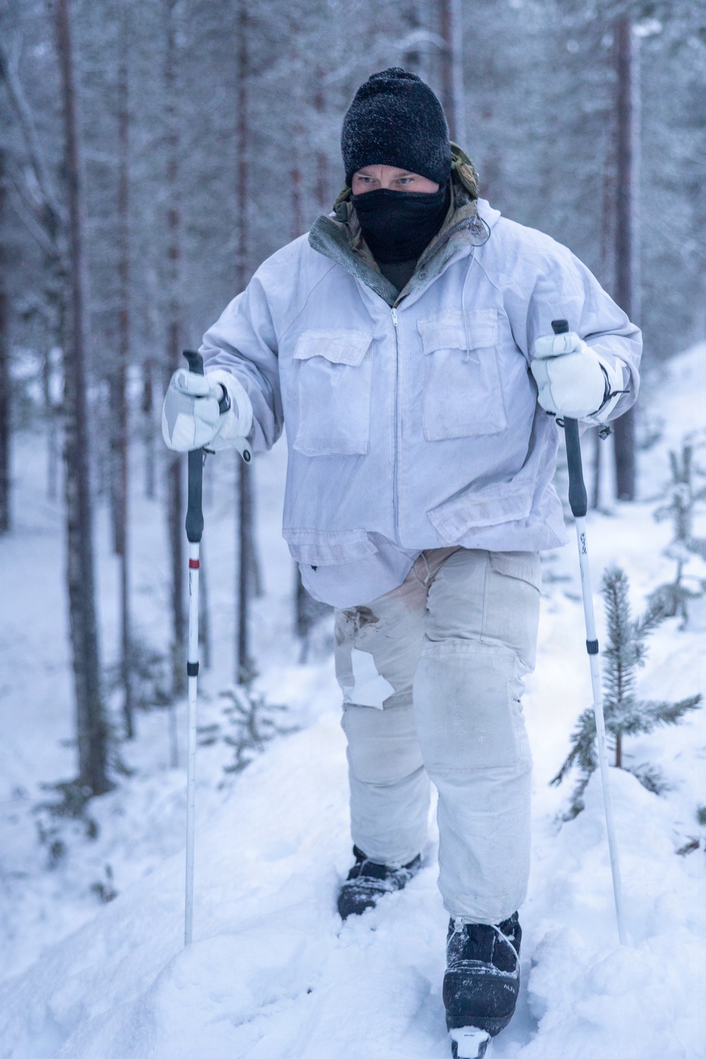 Recon Marines sharpen winter warfighting skills