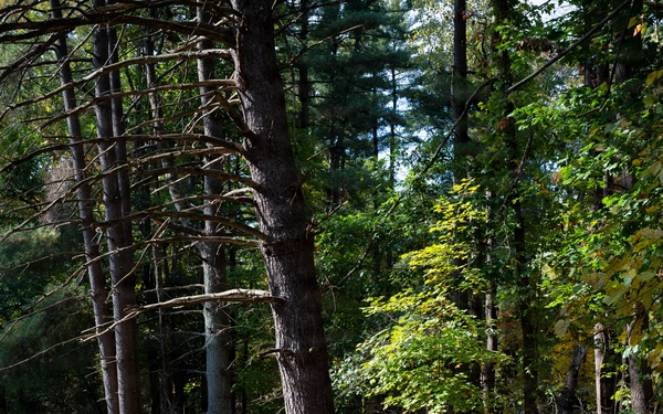Patriot Flight conducts exercise at Dobbs Memorial Park