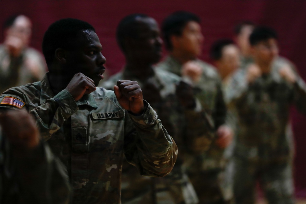 1st Signal Brigade soldiers take a Taekwondo yellow belt promotion test